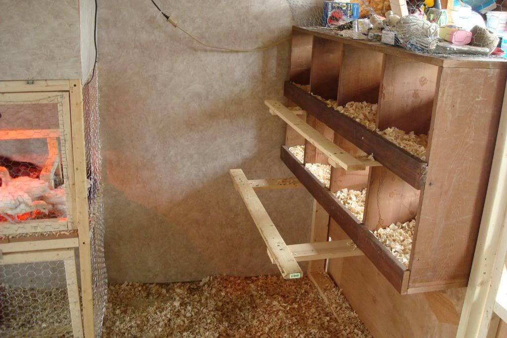 Plans for Nesting Boxes BackYard Chickens Learn How to Raise Chickens